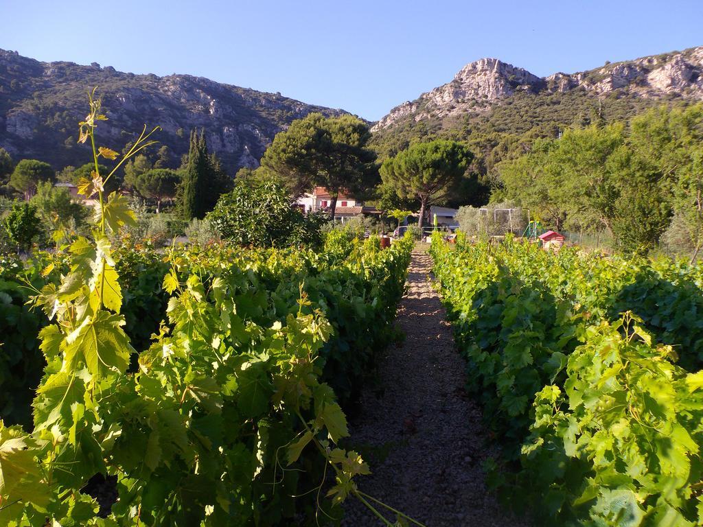 Au Havre De Paix Sainte Victoire Vauvenargues 호텔 외부 사진